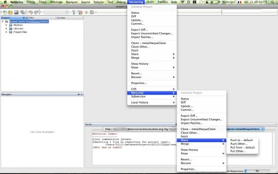 copie d'écran du plugin netbeans.